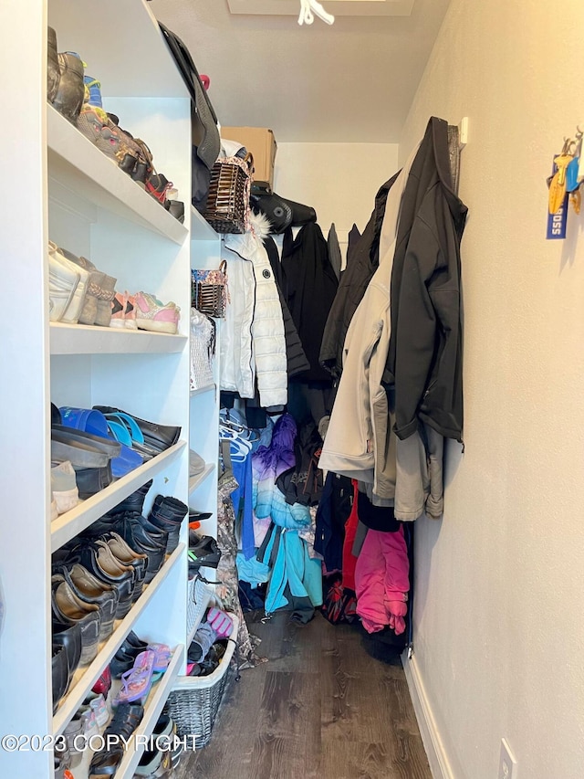 spacious closet featuring dark wood-type flooring