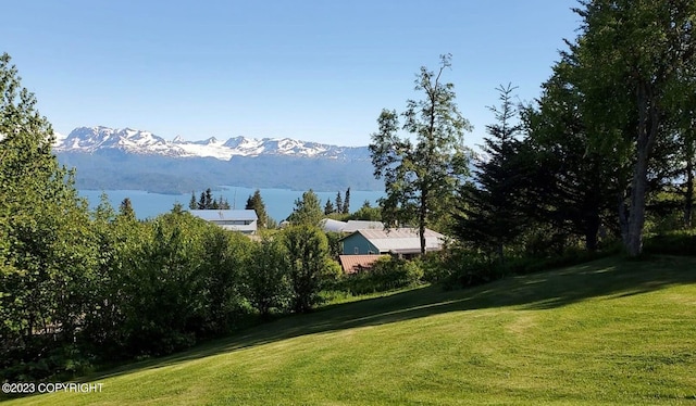 exterior space featuring a mountain view