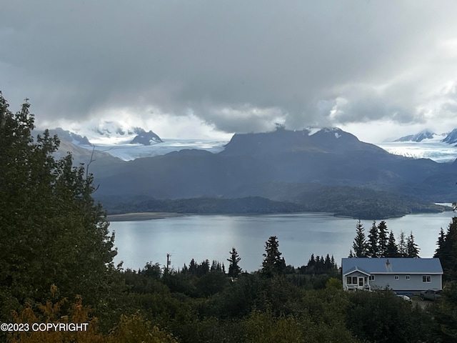 water view featuring a mountain view