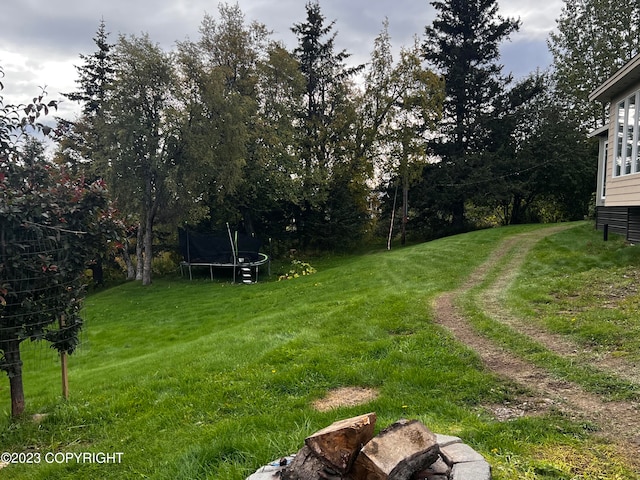 view of yard featuring a trampoline