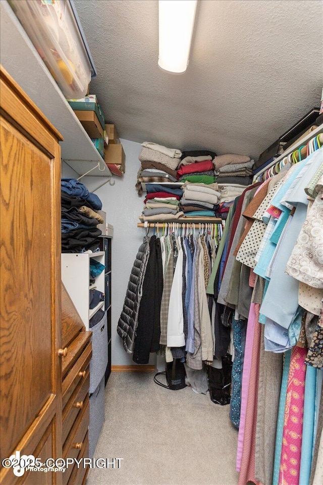 spacious closet featuring light colored carpet