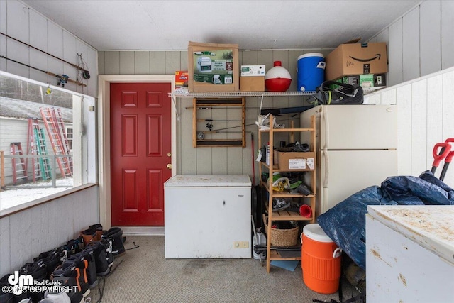 laundry room with carpet and wood walls