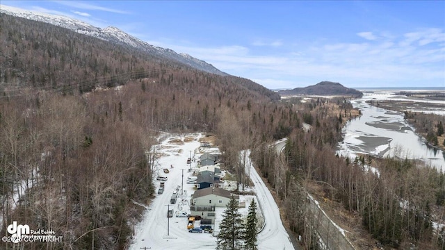 birds eye view of property featuring a view of trees and a mountain view