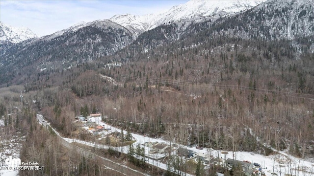 property view of mountains