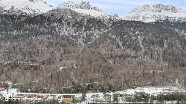 property view of mountains