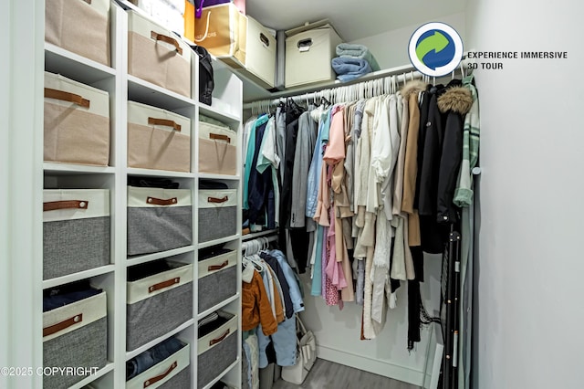 walk in closet featuring wood finished floors