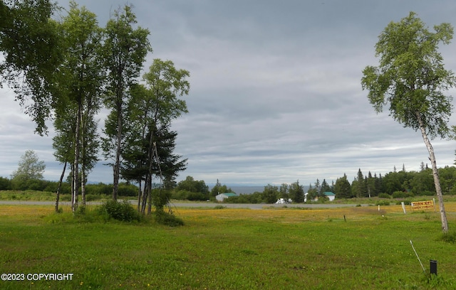 view of yard with a rural view