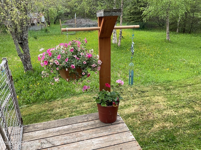 1832 Nerka Loop, Dillingham, AK 99576 - view of green lawn