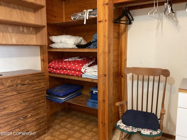 1832 Nerka Loop, Dillingham, AK 99576 - view of walk in closet