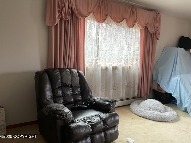 1832 Nerka Loop, Dillingham, AK 99576 - sitting room featuring carpet flooring