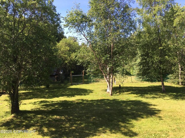 1832 Nerka Loop, Dillingham, AK 99576 - view of grassy yard