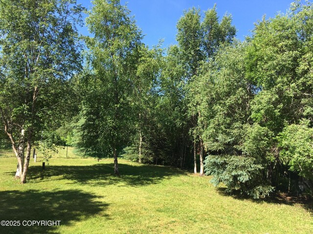 1832 Nerka Loop, Dillingham, AK 99576 - view of grassy yard