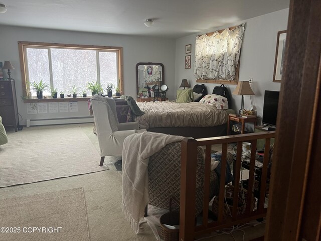 1832 Nerka Loop, Dillingham, AK 99576 - bedroom with baseboard heating and carpet flooring