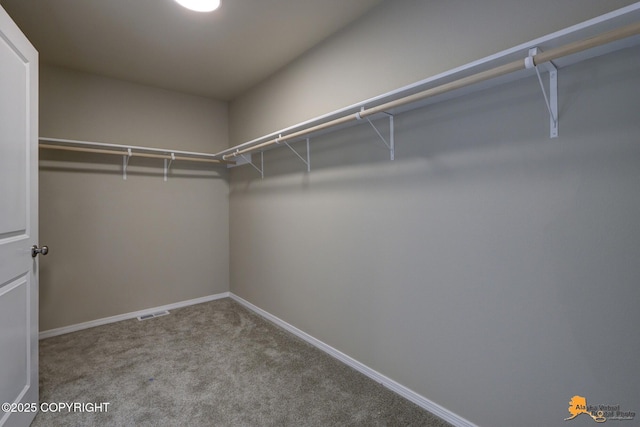 5991 Takotna Loop, Anchorage, AK 99504 - spacious closet with carpet
