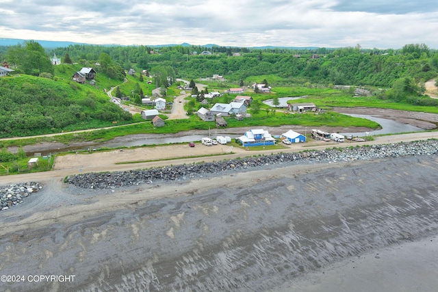15264 Airport Ln, Ninilchik, AK 99639 - birds eye view of property featuring a water view and a forest view