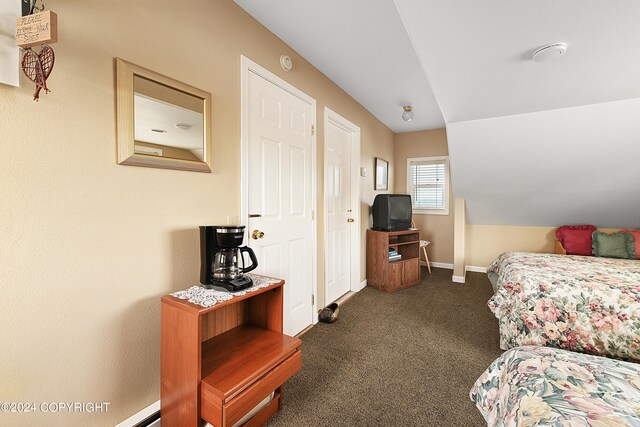 carpeted bedroom featuring lofted ceiling