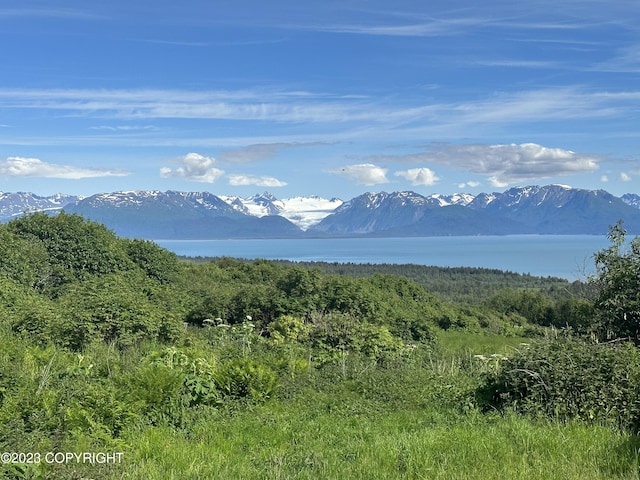 property view of mountains