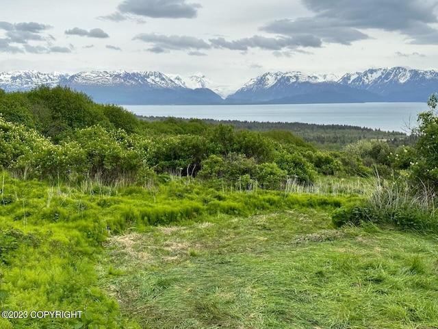 view of mountain feature featuring a water view