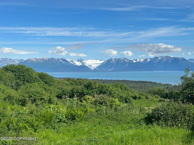 view of mountain feature