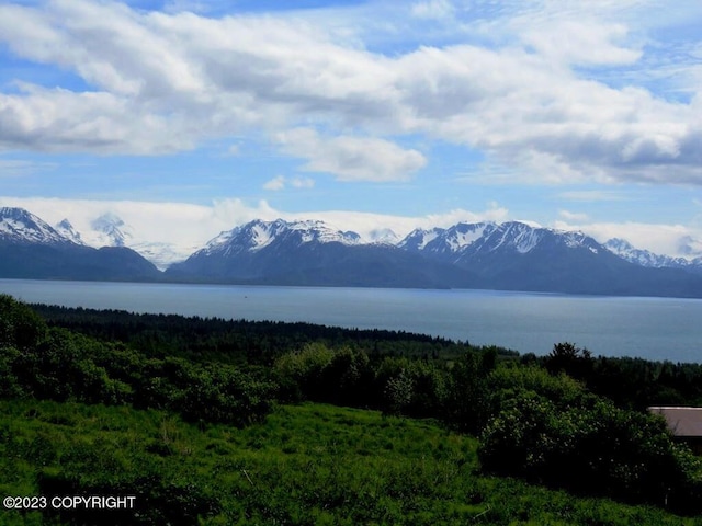 property view of mountains with a water view