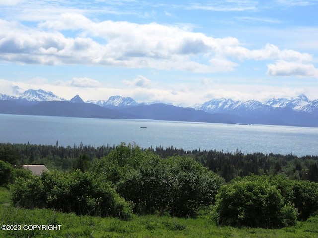 property view of mountains featuring a water view