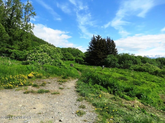 view of nature