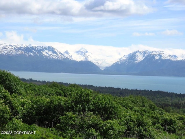 property view of mountains