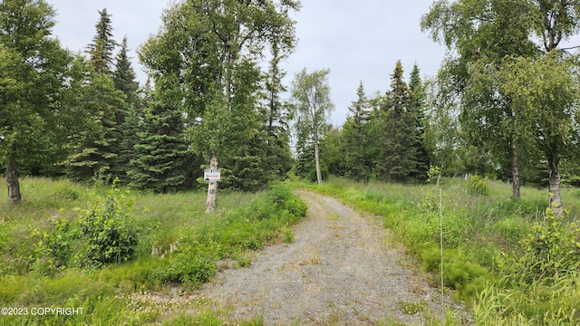 60522 Jannys Ave, Clam Gulch AK, 99568 land for sale