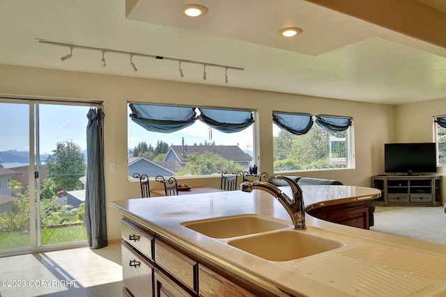 kitchen featuring sink and rail lighting