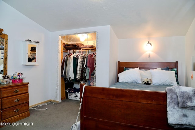 carpeted bedroom with a spacious closet and a closet