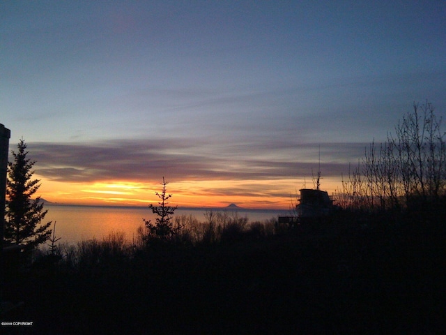 nature at dusk with a water view