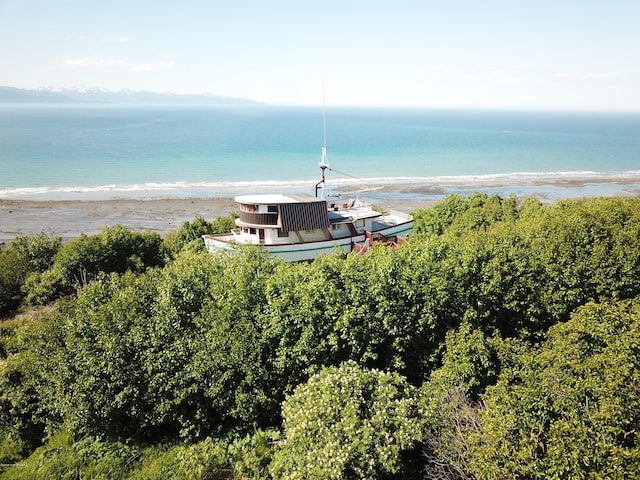 view of water feature with a view of the beach