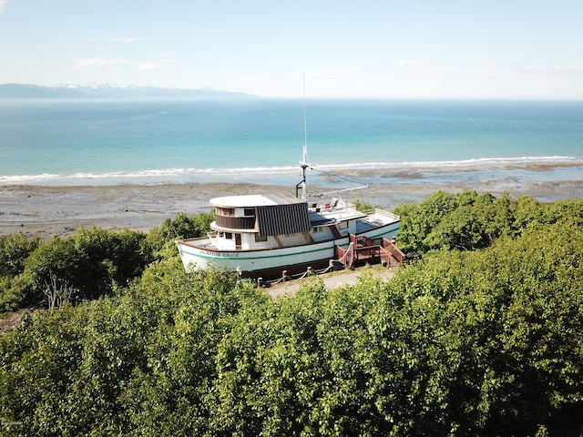 view of water feature featuring a view of the beach