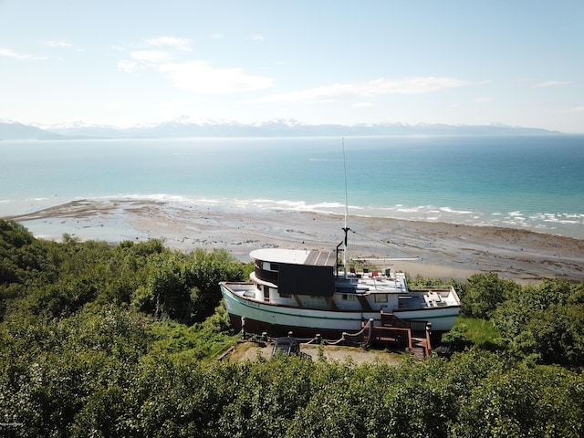 property view of water featuring a beach view