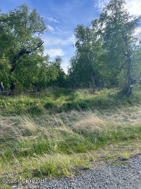 L8B7 N Cedar Hills Dr, Palmer, AK 99645