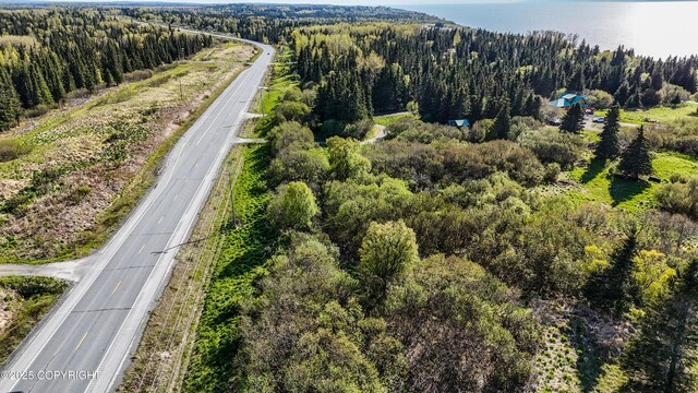 10505 Sterling Hwy, Ninilchik, AK 99639