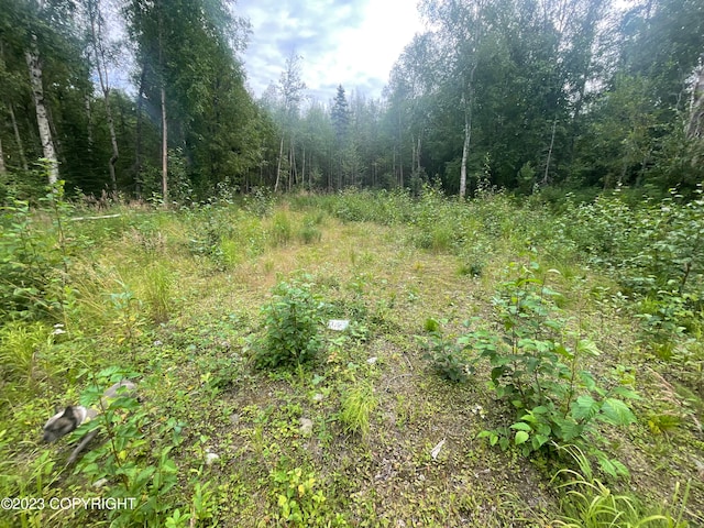 Listing photo 3 for -- N Keith Street, Wasilla AK 99654