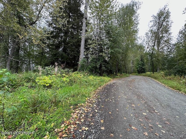 NHN Eagle Bluff Dr, Haines AK, 99827 land for sale