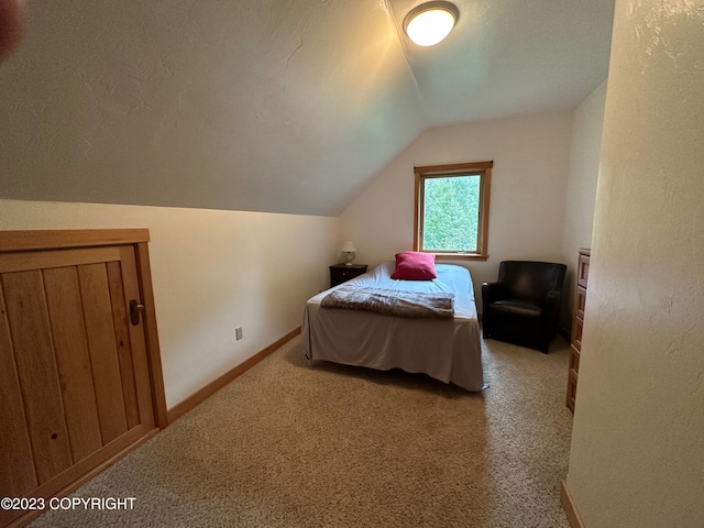 344 Eagle Bluff Dr, Haines, AK 99827 - carpeted bedroom with baseboards, vaulted ceiling, and a textured ceiling