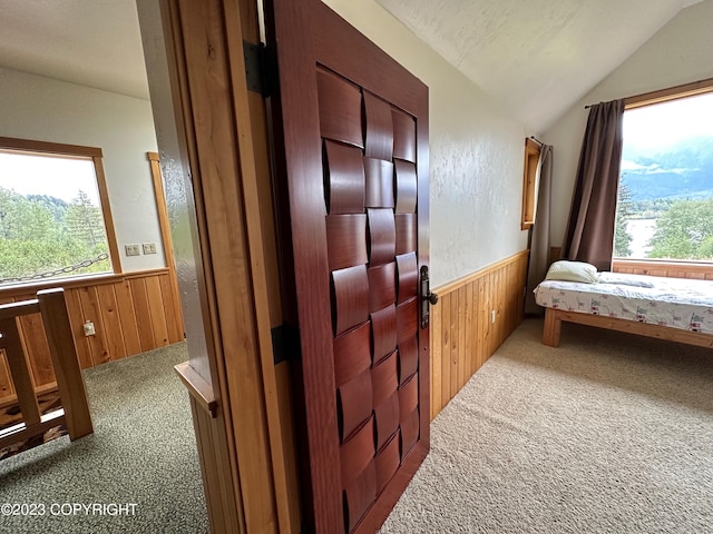 344 Eagle Bluff Dr, Haines, AK 99827 - hallway featuring wainscoting, wooden walls, and carpet