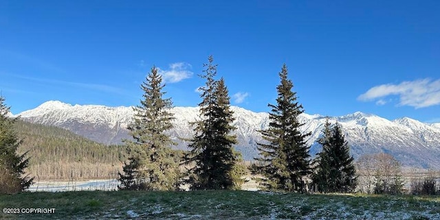 344 Eagle Bluff Dr, Haines, AK 99827 - view of mountain feature