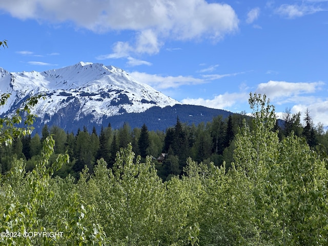 344 Eagle Bluff Dr, Haines, AK 99827 - property view of mountains with a forest view