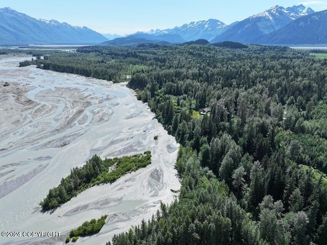 344 Eagle Bluff Dr, Haines, AK 99827 - aerial view with a forest view and a mountain view