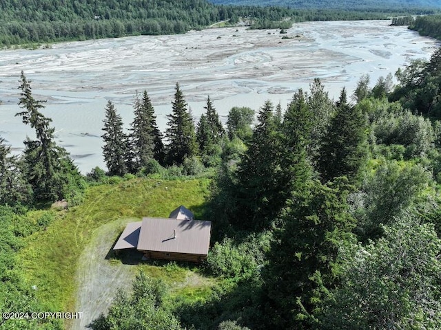 344 Eagle Bluff Dr, Haines, AK 99827 - drone / aerial view featuring a view of trees