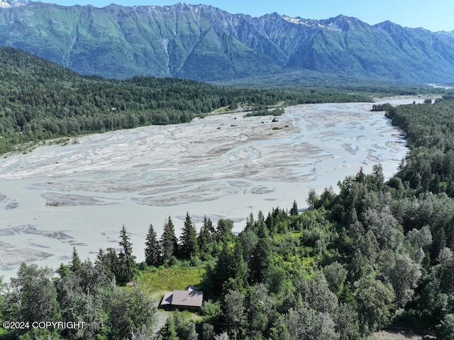344 Eagle Bluff Dr, Haines, AK 99827 - mountain view featuring a view of trees