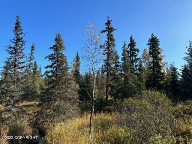 Listing photo 3 for 68302 Sunshine Dr, Ninilchik AK 99639