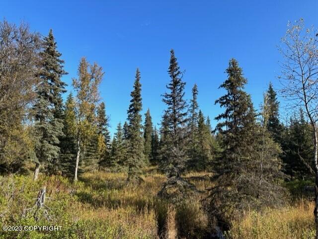 68302 Sunshine Dr, Ninilchik, AK 99639