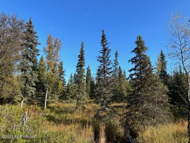 68302 Sunshine Dr, Ninilchik AK, 99639 land for sale