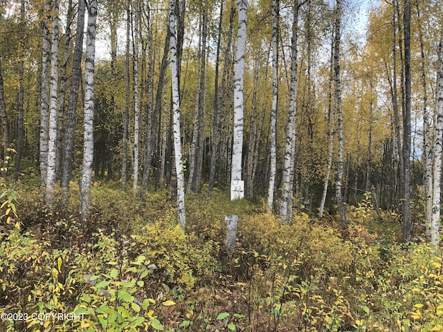 12976 N Prism Dr, Willow AK, 99688 land for sale