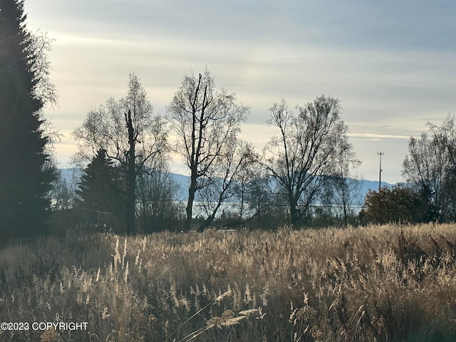56911 Stormy Petrel Ct, Homer, AK 99603